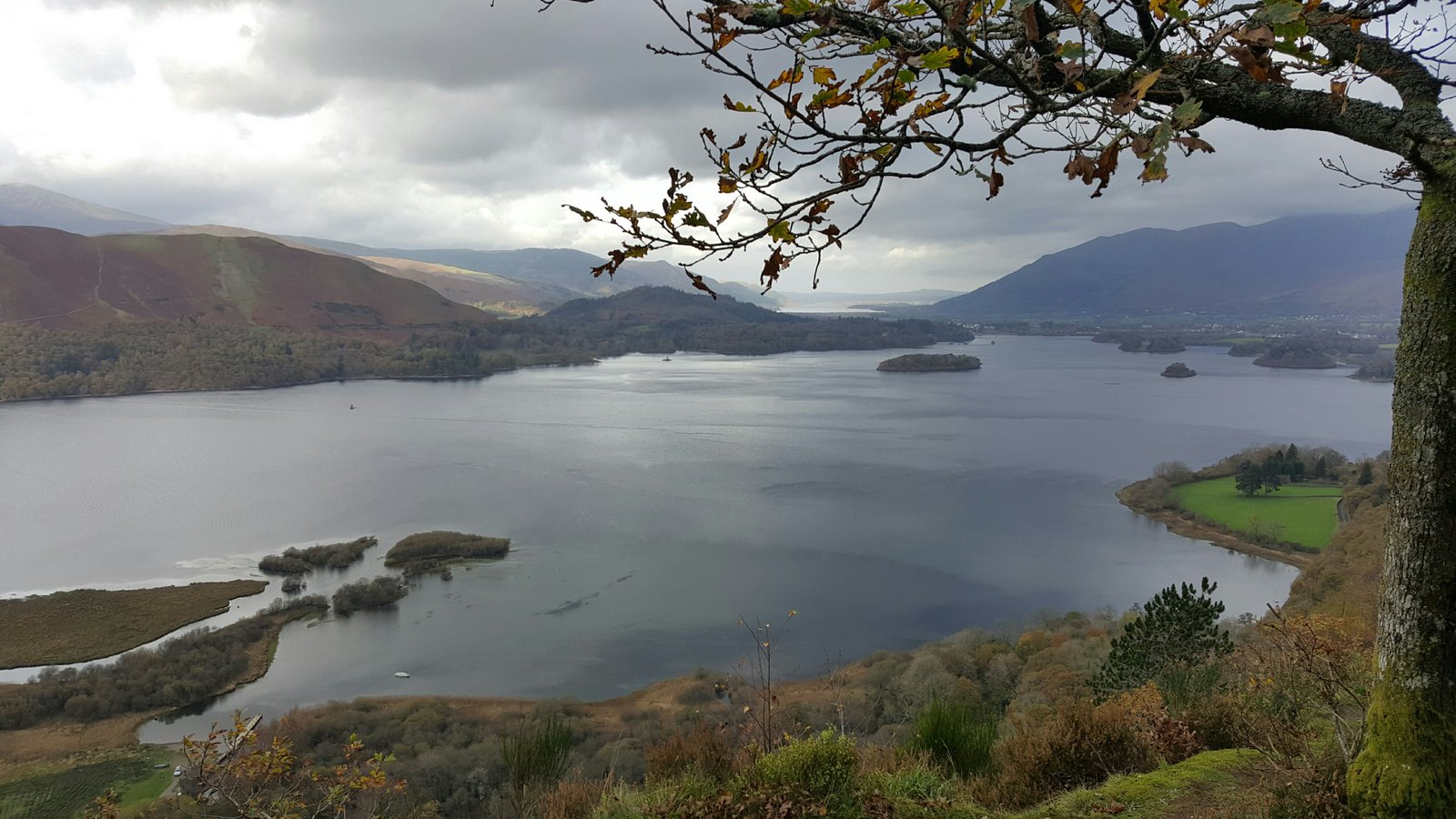 Lake district panorama framed by branches