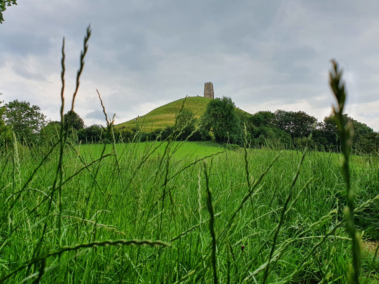Glastonbury Tor viewed across long summer grass