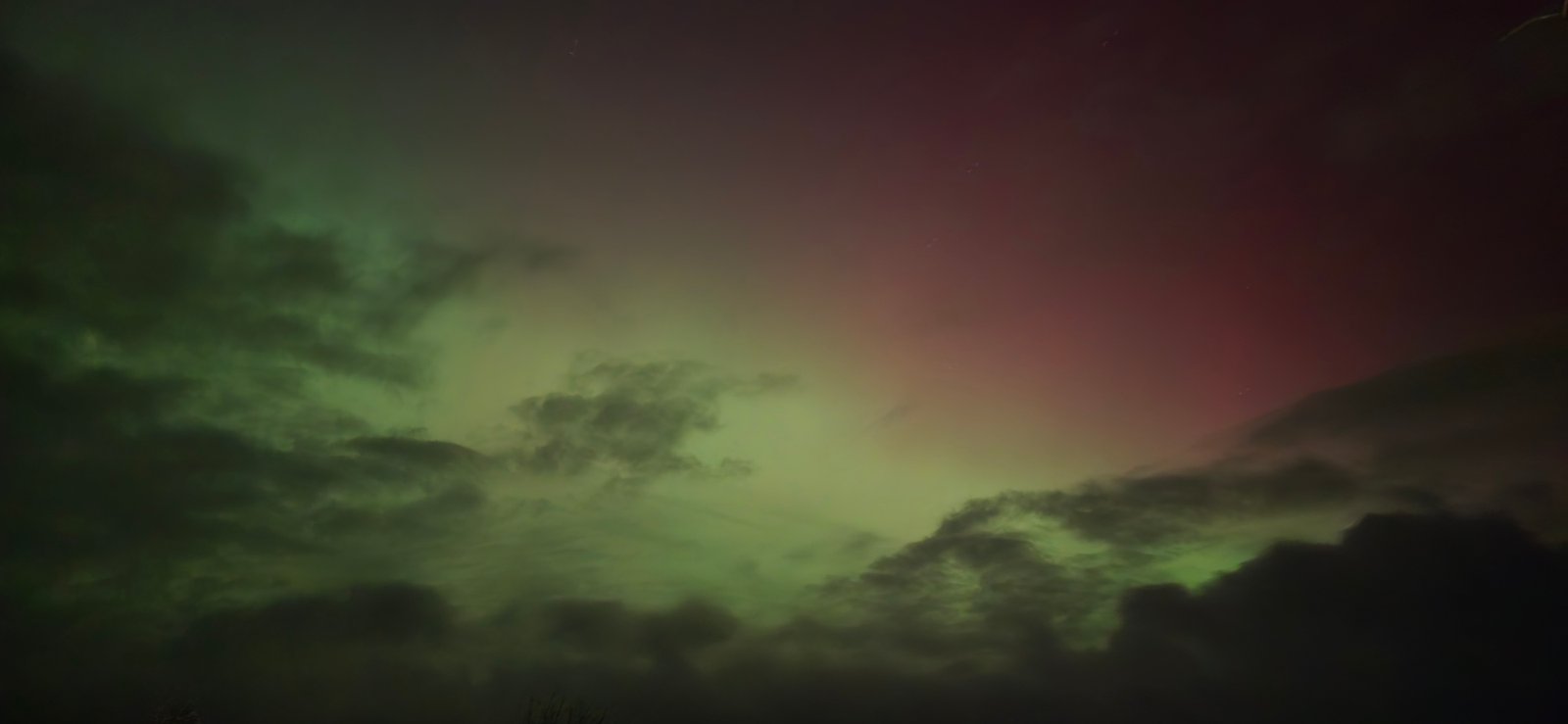 Aurora colors over dark trees and clouds