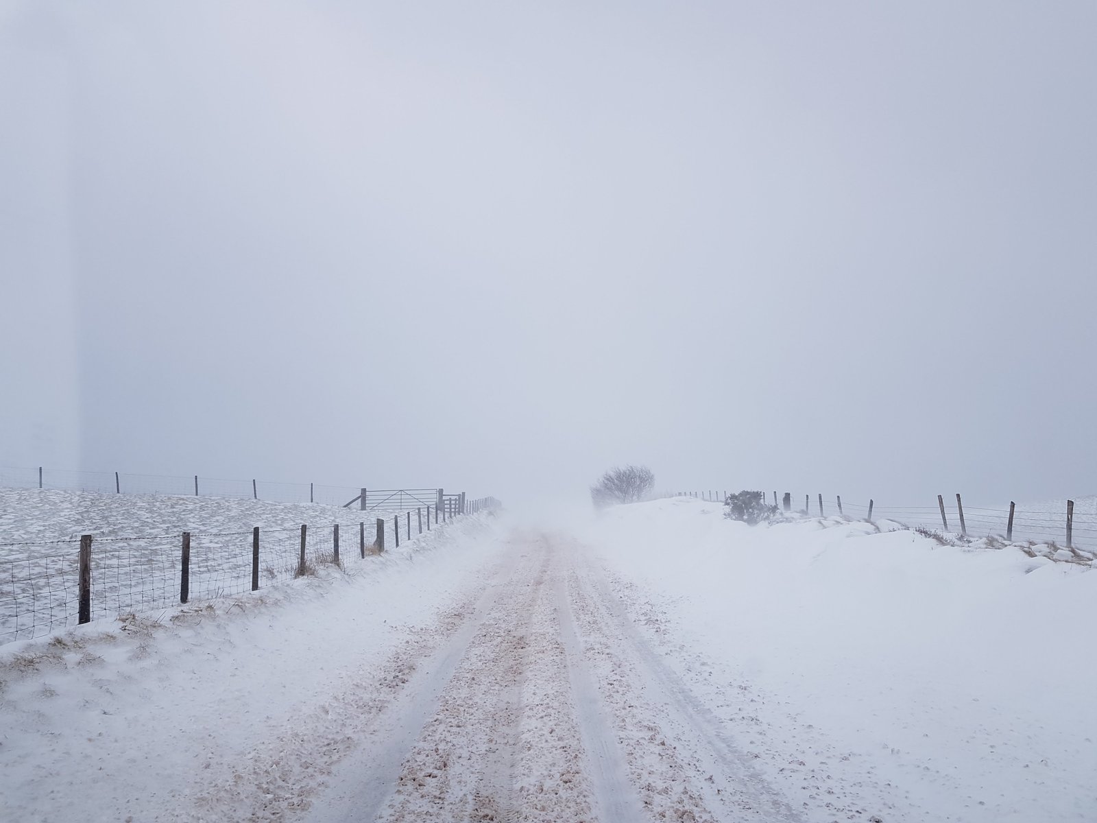 Snow-covered track disappearing into winter fog
